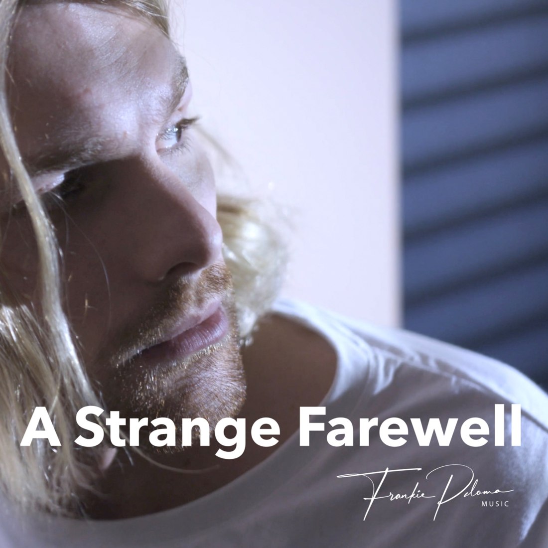 Cover: A Strange Farewell