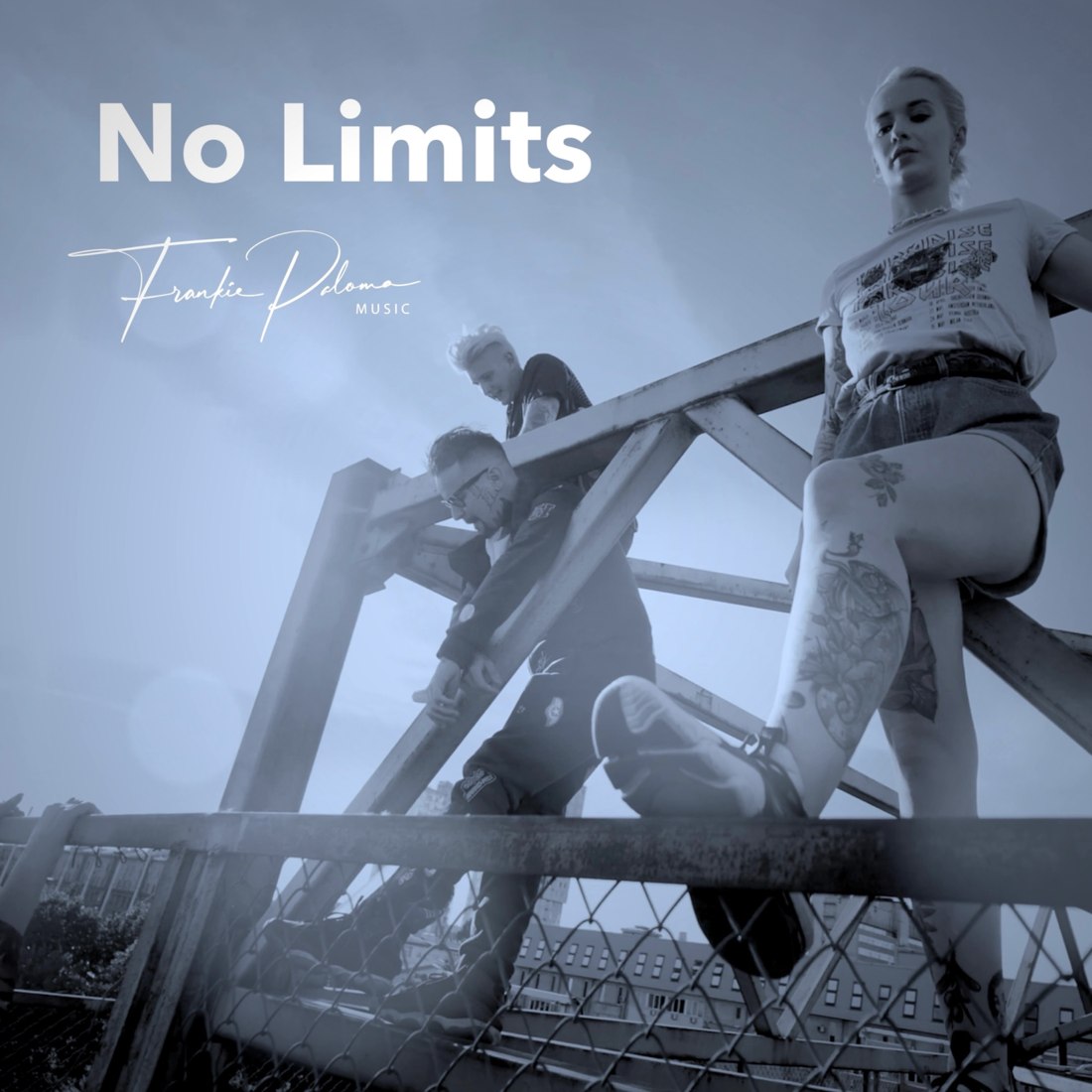 Cover: No Limits